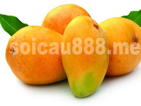 Nằm mơ thấy quả xoài đánh con gì chuẩn xác nhất