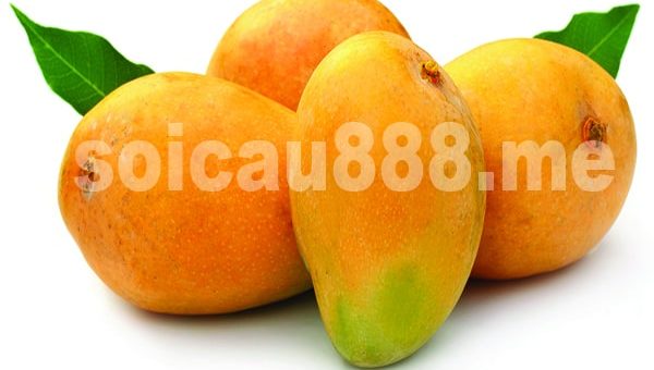 Nằm mơ thấy quả xoài đánh con gì chuẩn xác nhất