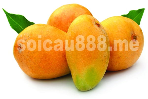 Nằm mơ thấy quả xoài đánh con gì chuẩn xác nhất
